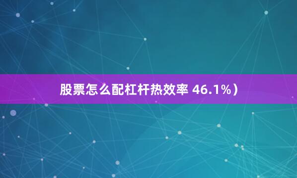 股票怎么配杠杆热效率 46.1%）