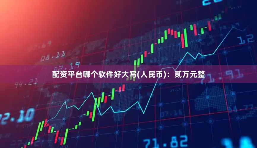 配资平台哪个软件好大写(人民币)：贰万元整