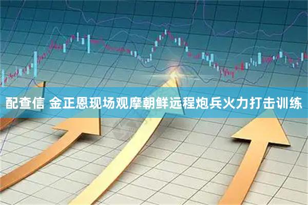 配查信 金正恩现场观摩朝鲜远程炮兵火力打击训练