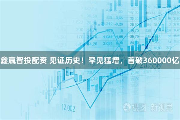 鑫赢智投配资 见证历史！罕见猛增，首破360000亿