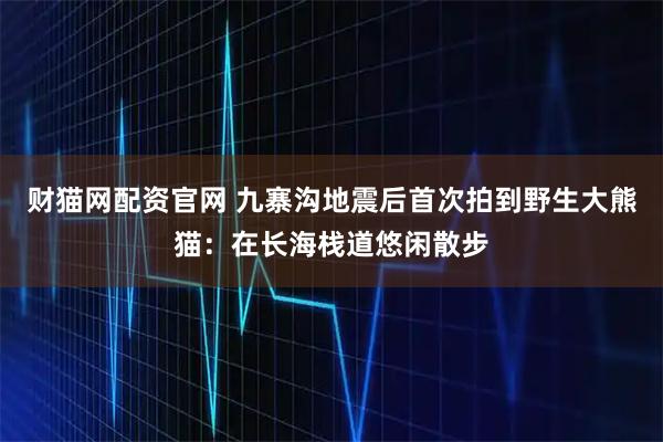 财猫网配资官网 九寨沟地震后首次拍到野生大熊猫：在长海栈道悠闲散步