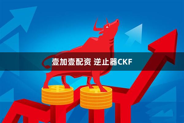 壹加壹配资 逆止器CKF