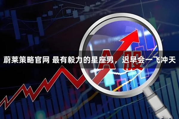 蔚莱策略官网 最有毅力的星座男，迟早会一飞冲天