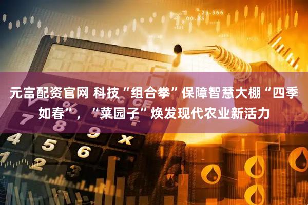 元富配资官网 科技“组合拳”保障智慧大棚“四季如春”，“菜园子”焕发现代农业新活力