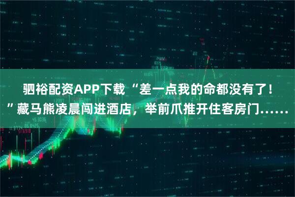 驷裕配资APP下载 “差一点我的命都没有了！”藏马熊凌晨闯进酒店，举前爪推开住客房门……